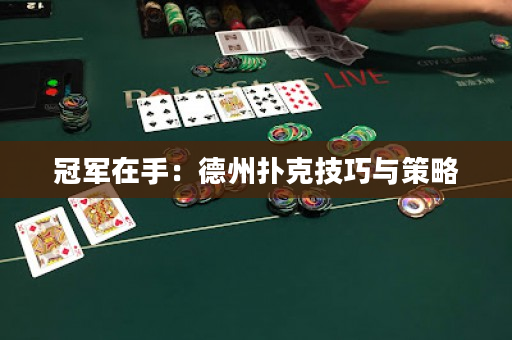 冠军在手：德州扑克技巧与策略