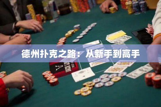 德州扑克之路：从新手到高手