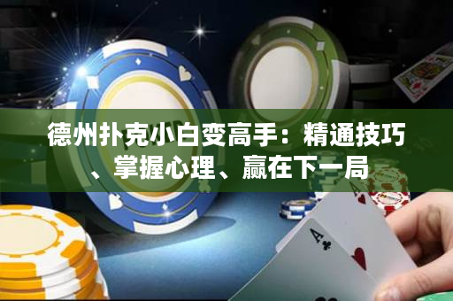 德州扑克小白变高手：精通技巧、掌握心理、赢在下一局