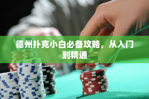 德州扑克小白必备攻略，从入门到精通