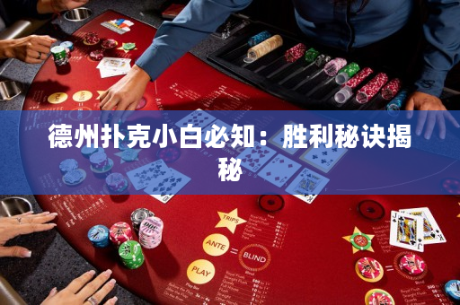 德州扑克小白必知：胜利秘诀揭秘
