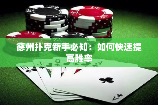 德州扑克新手必知：如何快速提高胜率