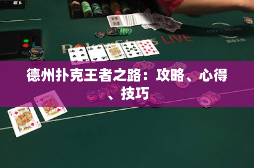 德州扑克王者之路：攻略、心得、技巧