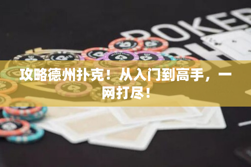 攻略德州扑克！从入门到高手，一网打尽！