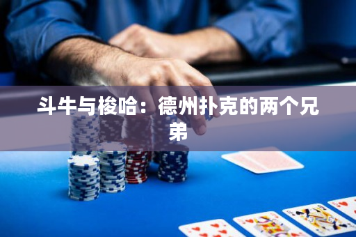 斗牛与梭哈：德州扑克的两个兄弟
