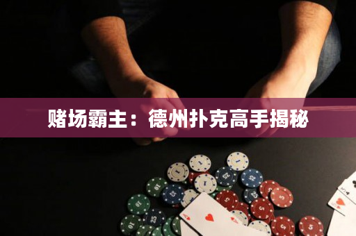 赌场霸主：德州扑克高手揭秘