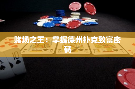 赌场之王：掌握德州扑克致富密码