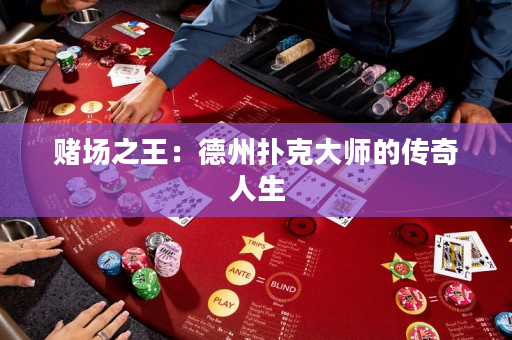 赌场之王：德州扑克大师的传奇人生