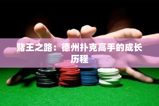 赌王之路：德州扑克高手的成长历程