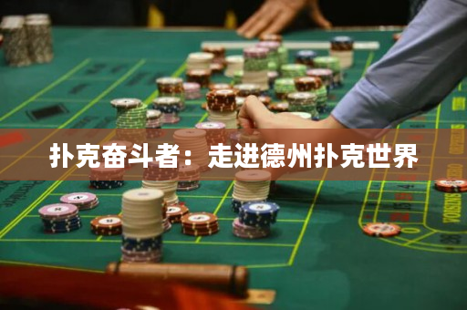 扑克奋斗者：走进德州扑克世界