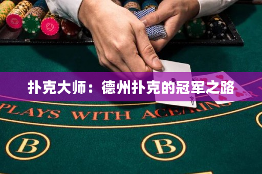 扑克大师：德州扑克的冠军之路