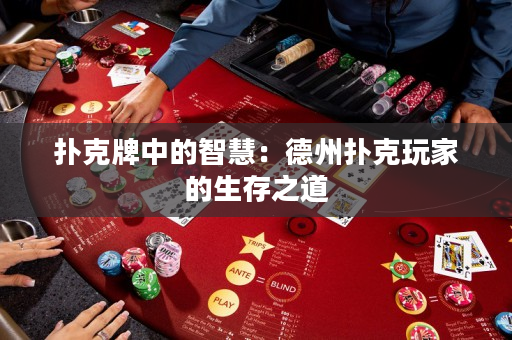 扑克牌中的智慧：德州扑克玩家的生存之道