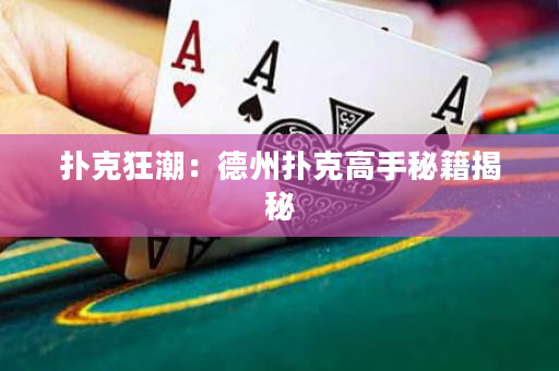 扑克狂潮：德州扑克高手秘籍揭秘