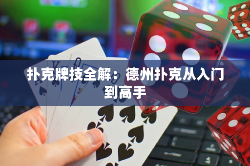 扑克牌技全解：德州扑克从入门到高手