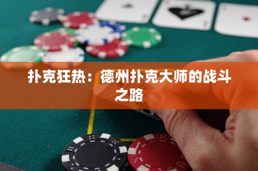 扑克狂热：德州扑克大师的战斗之路