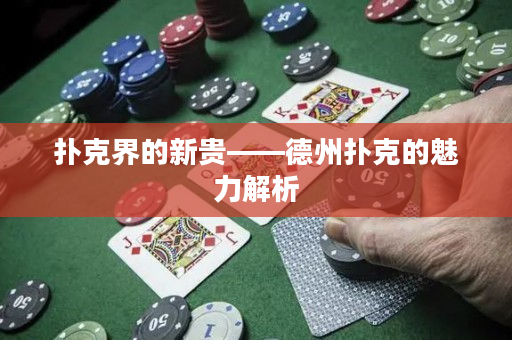 扑克界的新贵——德州扑克的魅力解析
