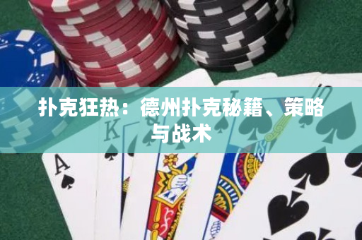 扑克狂热：德州扑克秘籍、策略与战术