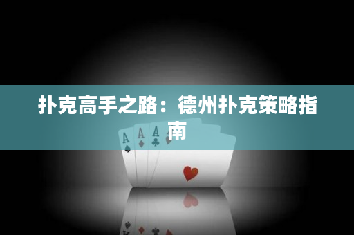 扑克高手之路：德州扑克策略指南