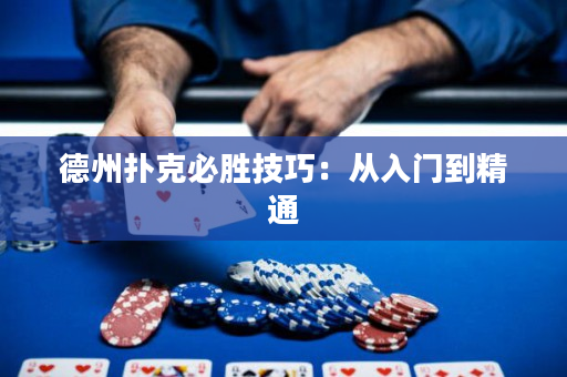 德州扑克必胜技巧：从入门到精通
