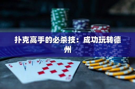 扑克高手的必杀技：成功玩转德州