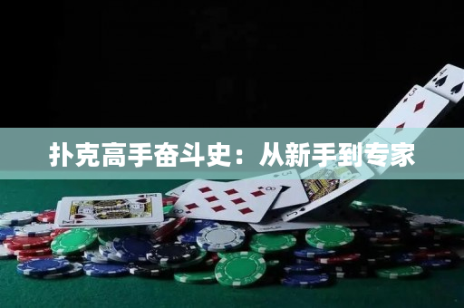扑克高手奋斗史：从新手到专家