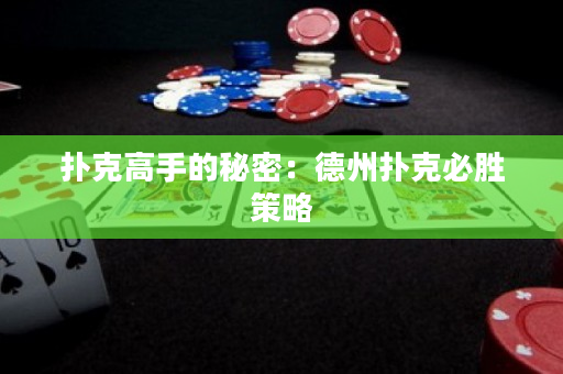 扑克高手的秘密：德州扑克必胜策略