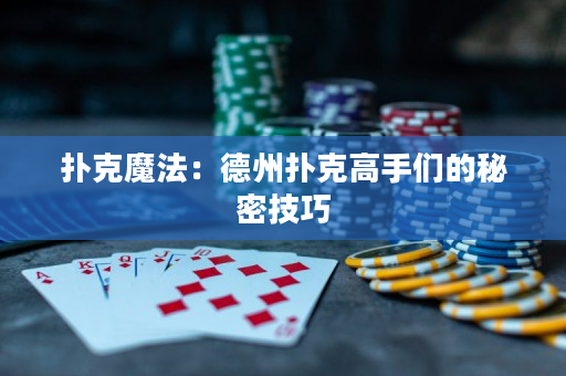 扑克魔法：德州扑克高手们的秘密技巧
