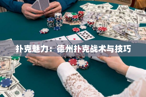 扑克魅力：德州扑克战术与技巧