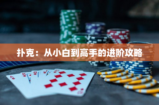 扑克：从小白到高手的进阶攻略