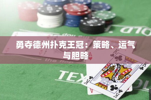 勇夺德州扑克王冠：策略、运气与胆略