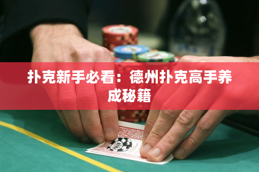 扑克新手必看：德州扑克高手养成秘籍