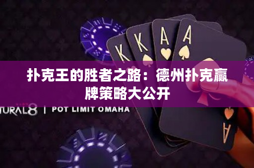 扑克王的胜者之路：德州扑克赢牌策略大公开