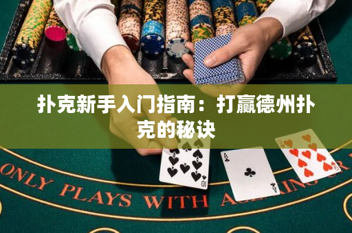 扑克新手入门指南：打赢德州扑克的秘诀