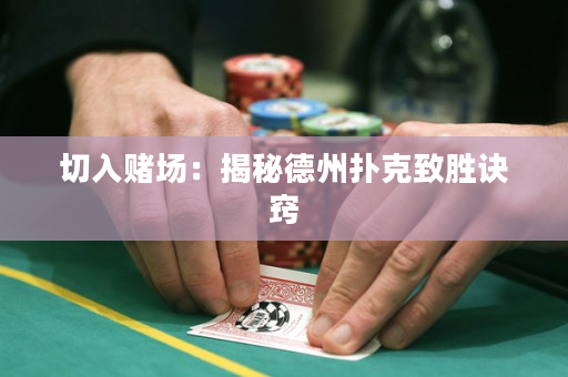 切入赌场：揭秘德州扑克致胜诀窍