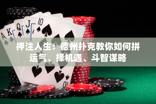 押注人生：德州扑克教你如何拼运气、择机遇、斗智谋略