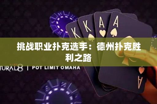 挑战职业扑克选手：德州扑克胜利之路