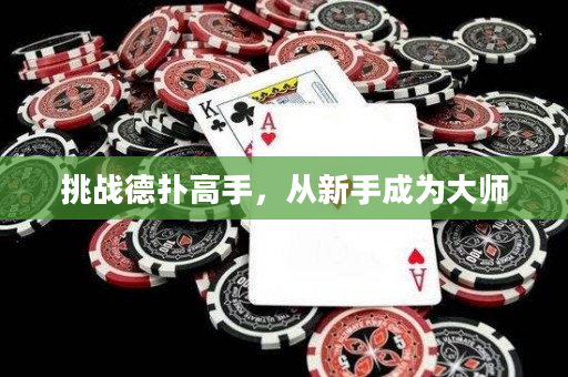挑战德扑高手，从新手成为大师