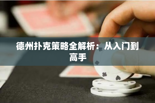 德州扑克策略全解析：从入门到高手