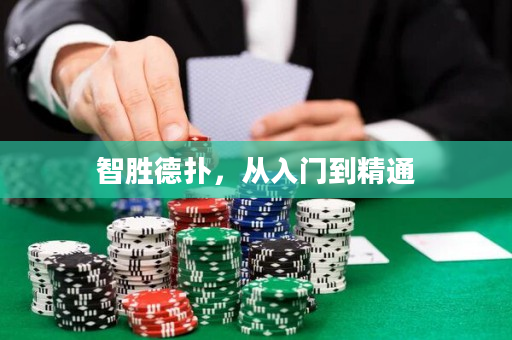 智胜德扑，从入门到精通
