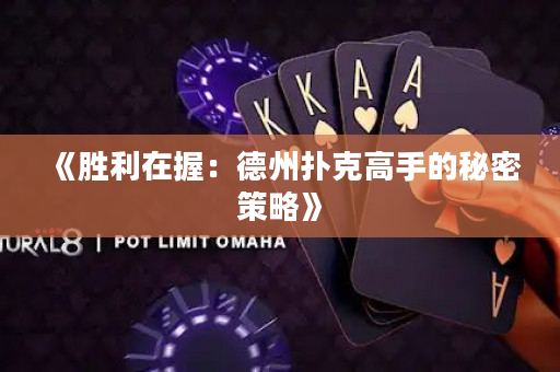 《胜利在握：德州扑克高手的秘密策略》