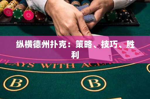 纵横德州扑克：策略、技巧、胜利