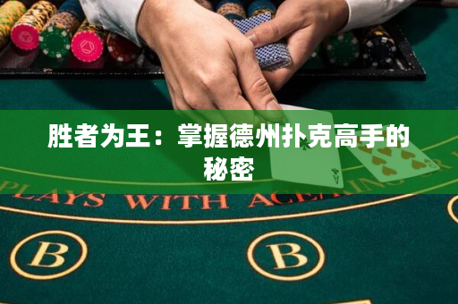 胜者为王：掌握德州扑克高手的秘密