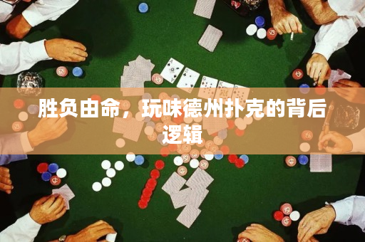 胜负由命，玩味德州扑克的背后逻辑