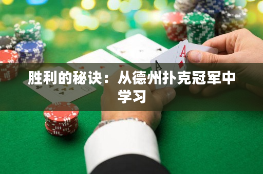 胜利的秘诀：从德州扑克冠军中学习