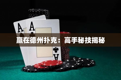 赢在德州扑克：高手秘技揭秘