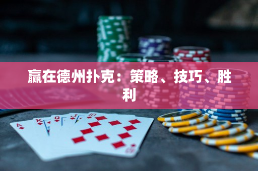 赢在德州扑克：策略、技巧、胜利