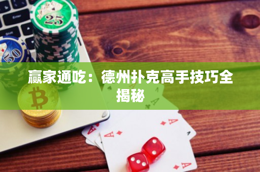 赢家通吃：德州扑克高手技巧全揭秘