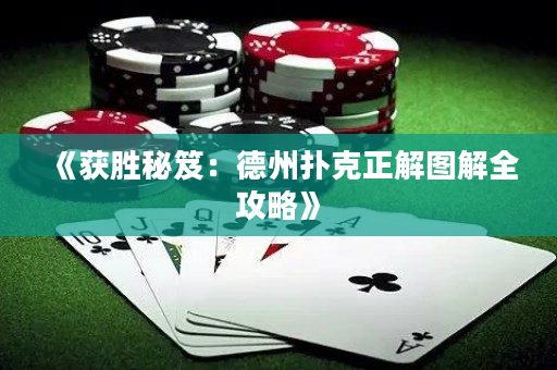 《获胜秘笈：德州扑克正解图解全攻略》