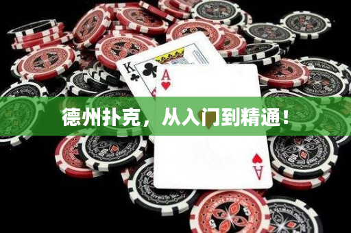 德州扑克，从入门到精通！