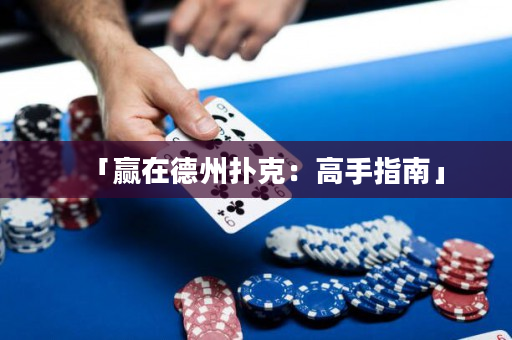 「赢在德州扑克：高手指南」